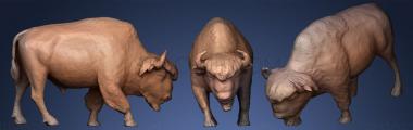 3D модель Американский буйвол (STL)